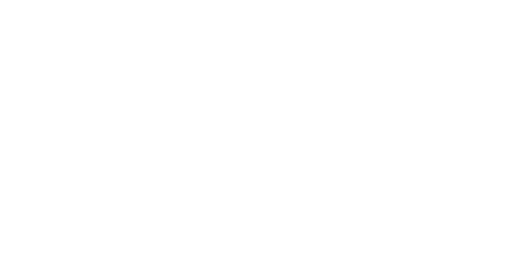 Phoneix Immigration Consulting Services LLC
