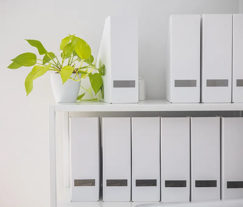 Evidence & Document Organization